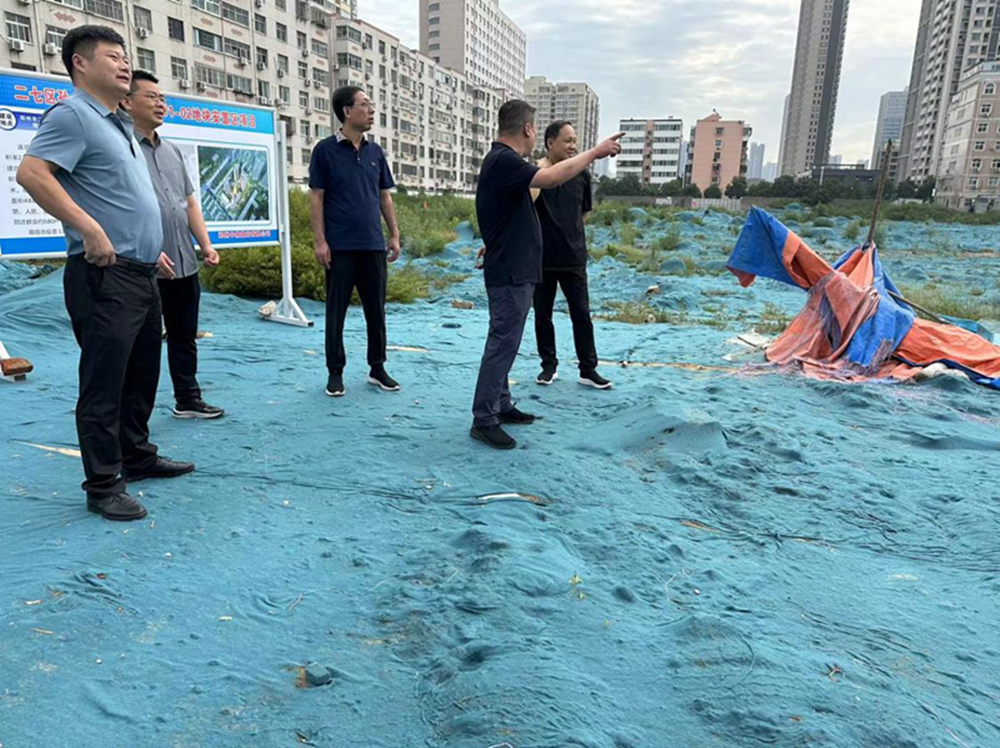 开云线上平台（集团）官方网站
党委委员、副总经理张岩到侯寨新镇区安置区调研项目建设工作